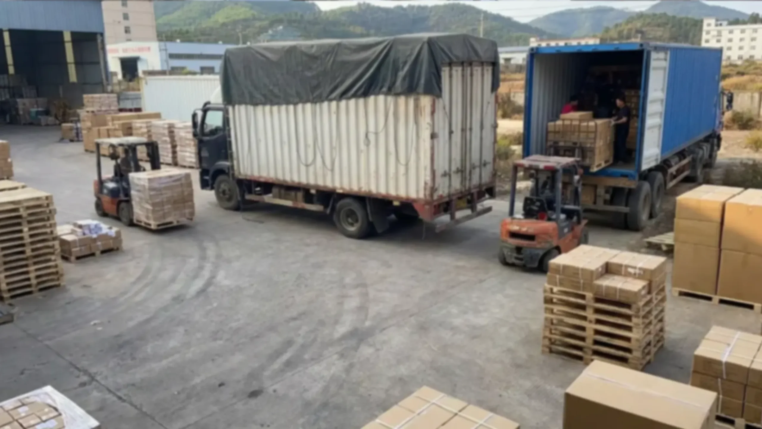 Shipping & Delivery