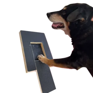 Wooden Dog Nail Scratch Board with Treat Slot (1)